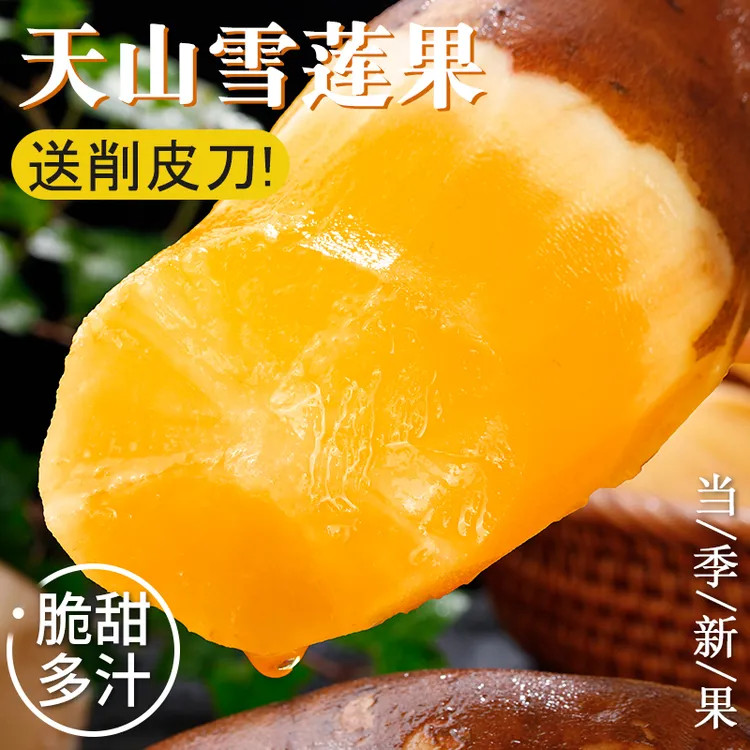云南天山雪莲果新鲜水果蔬菜脆甜大果当季应季整箱产地直发