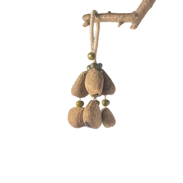 黑果八颗菩提9颗（月亮子、无患子、金刚、木鱼果）