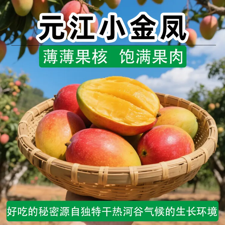 芒果新鲜元江小金凤即食贵妃芒产地直发香甜核小新鲜水果包邮到家