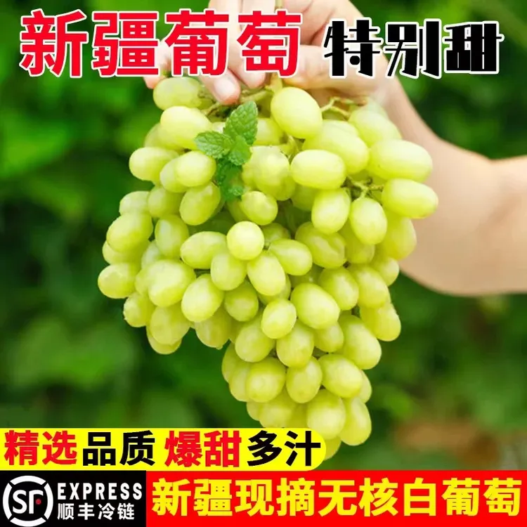 顺丰空运新疆吐鲁番葡萄现摘无核白新鲜应季无籽葡萄孕妇新鲜水果