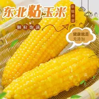 [2025年头茬]黄糯玉米 整箱10根 东北黑土地种植 试吃2根