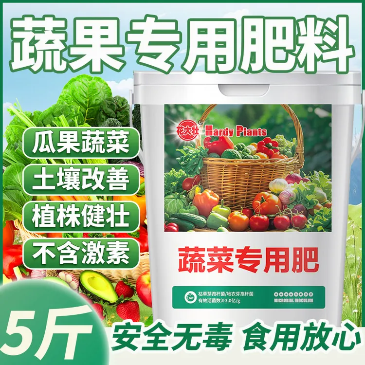 蔬菜专用肥西红柿黄瓜白菜缓释颗粒肥家庭通用复合肥种菜专用