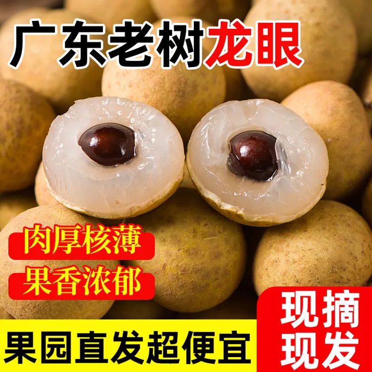 【京东冷链】新鲜采摘正宗广东龙眼肉厚清甜多汁现摘现发当季鲜果