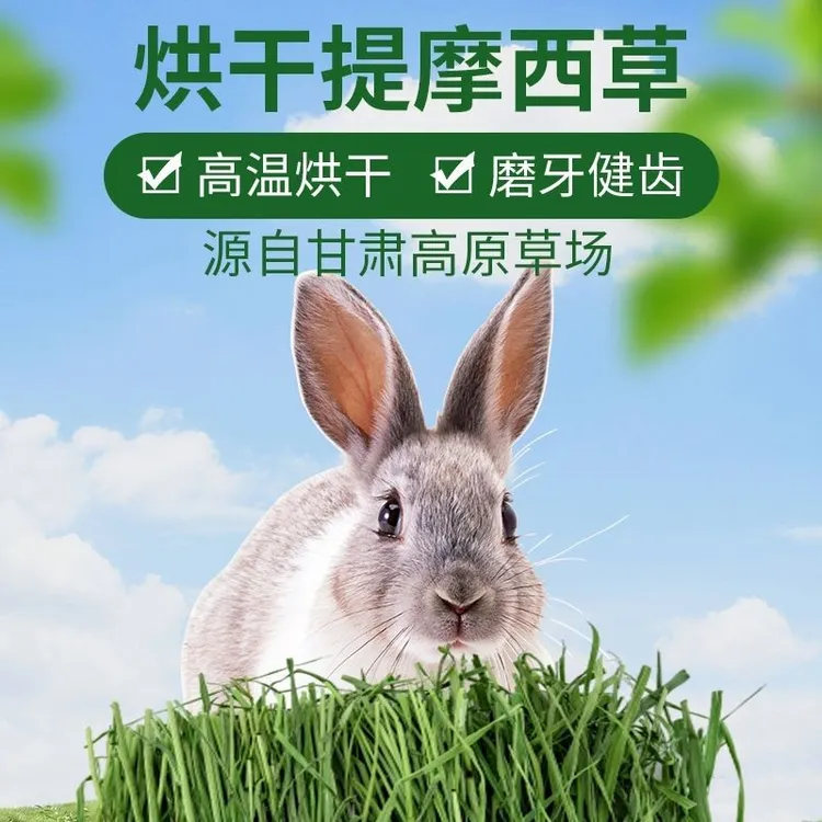 烘干提摩西短草兔粮荷兰猪豚鼠粮小宠物草