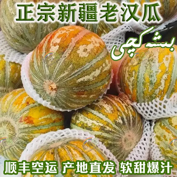 正宗新疆老汉瓜口感软糯多汁入口即化甘甜皮薄精品产地顺丰空运