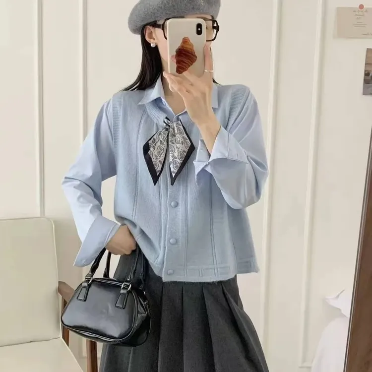2025新款韩版宽松显瘦百搭无袖针织马甲背心女外穿坎肩毛衣马夹潮