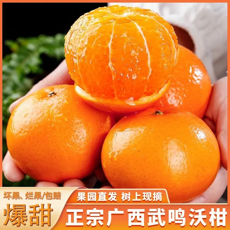 【鲜嫩】正宗广西武鸣沃柑爆甜薄皮应季水果柑橘非无籽沃柑b2