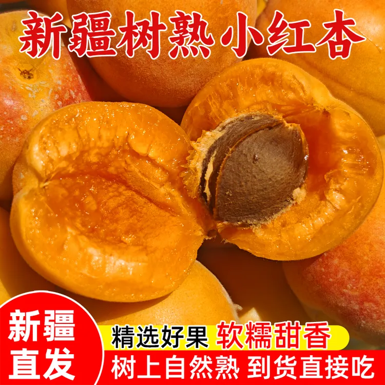 【顺丰空运】正宗新疆阿克苏小红杏吊干杏 戈壁滩沙漠小红杏吊干杏