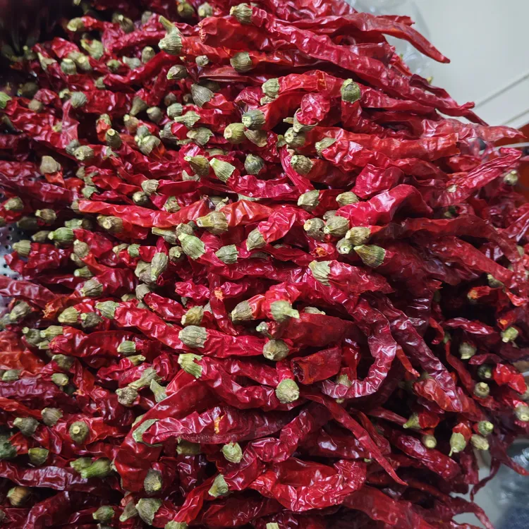 贵州高山头茬二荆条干辣椒微辣特香炒菜炝锅油泼辣子必备（微辣）