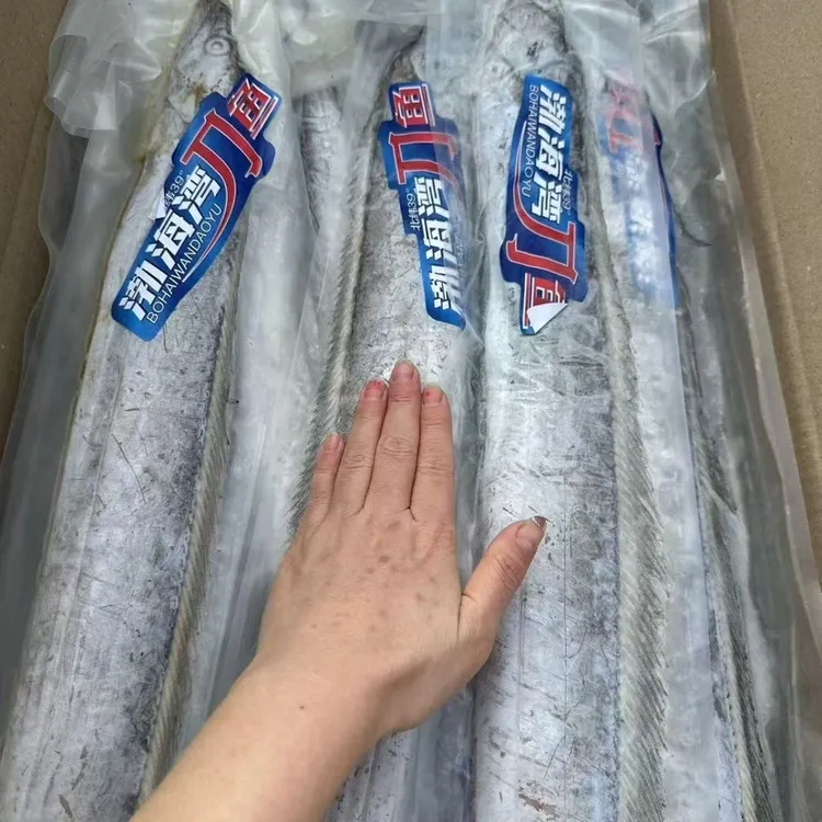 渤海湾刀鱼真空速冻发货2条，每条约1斤以上，顺丰/京东包邮