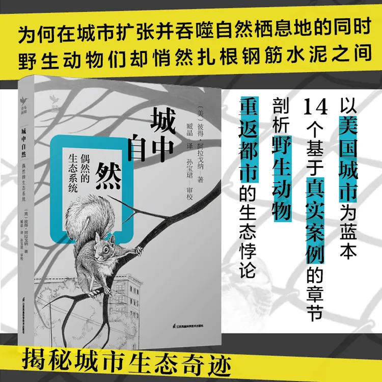 城中自然 偶然的生态系统 一本书看懂钢筋森林里的隐秘生命网络