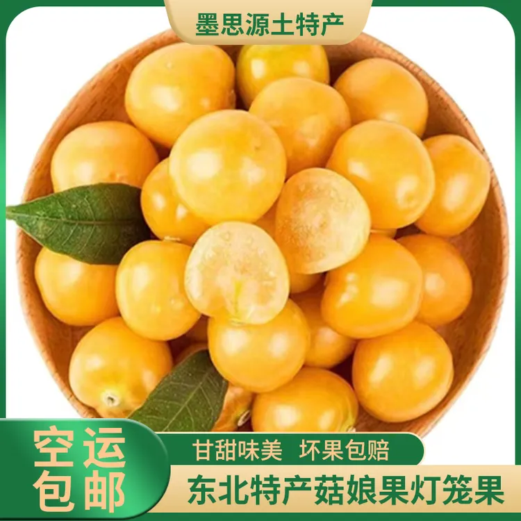 东北鲜甜姑娘果头茬灯笼果爆甜奶香味道现摘现发1/2/3/5斤空运