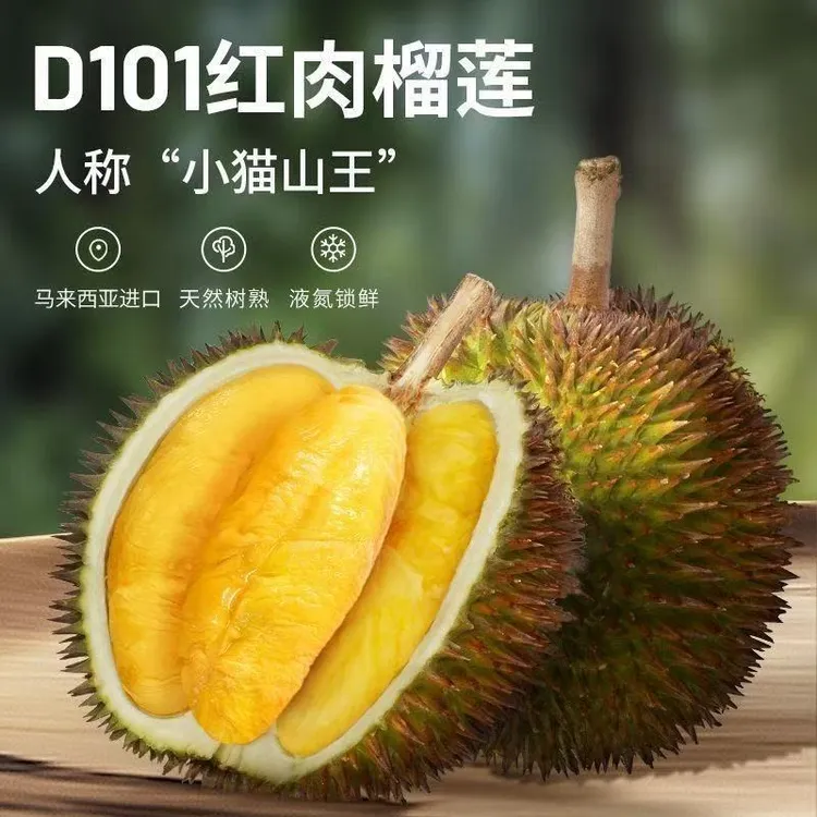 红肉榴莲 D101马来西亚进口正宗液氮冷冻榴莲 整果带壳顺丰包邮