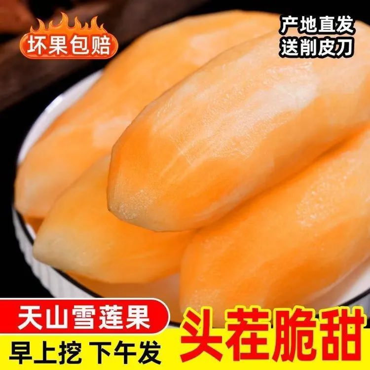 云南天山雪莲果新鲜应季现挖黄心清甜脆爽多汁水果