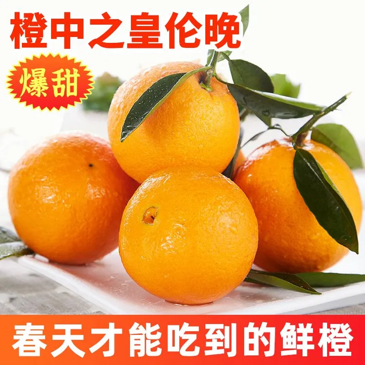 湖北高山伦晚脐橙香甜多汁新鲜当季手剥春橙
