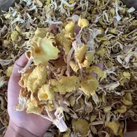 云南特产鸡油菌干货