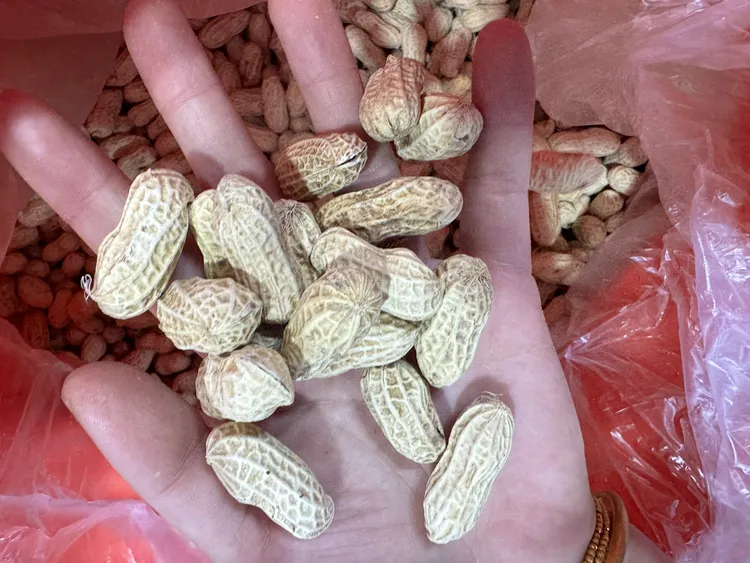 本地水煮晒干花生