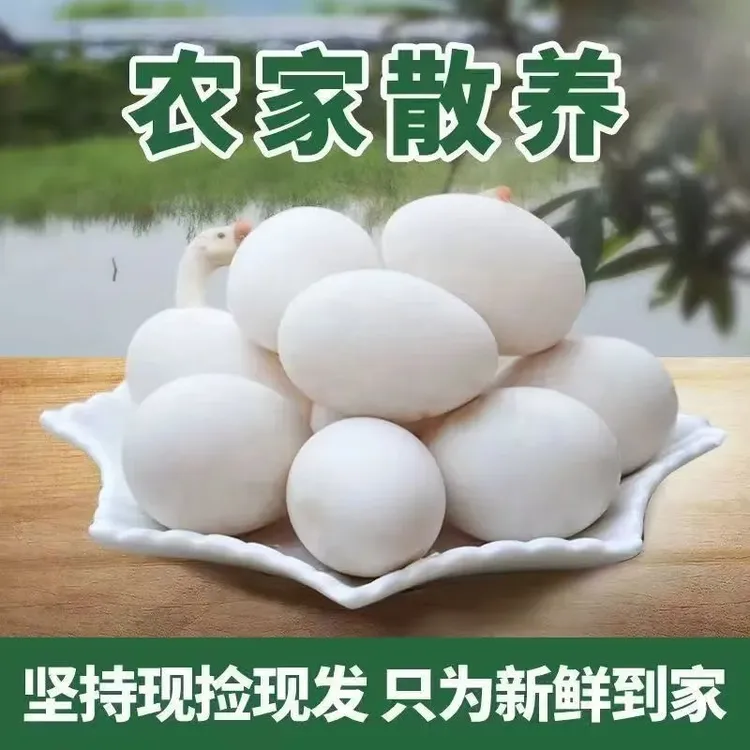 【买6个送6个】 正宗农家散养大鹅蛋 12枚80~100克