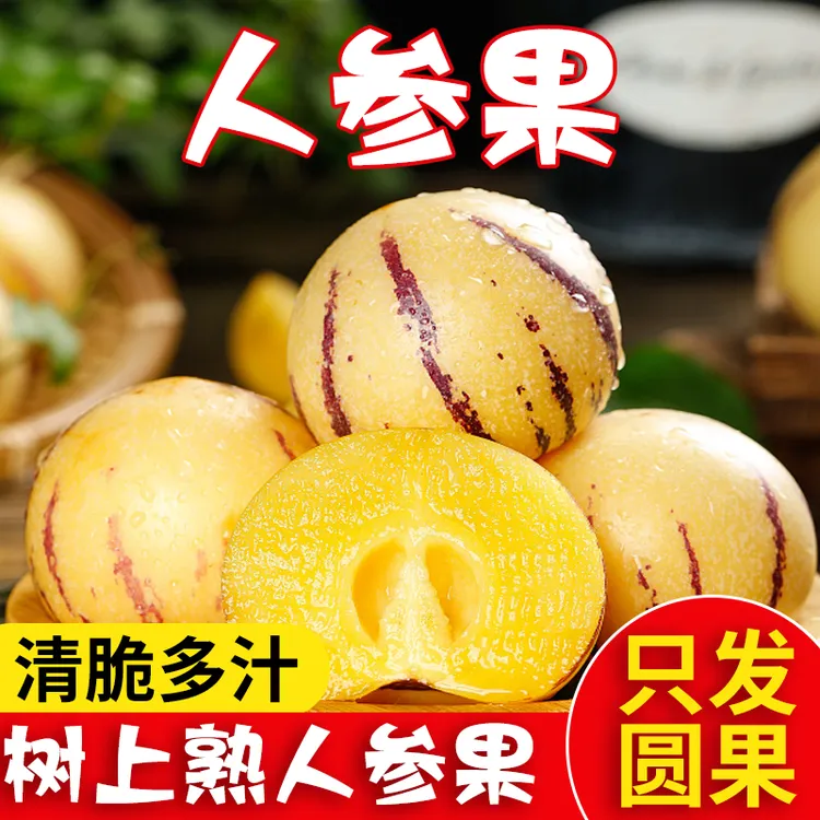 【坏果包赔】正宗云南石林人参果树上熟新鲜黄肉果当季低糖水果双11