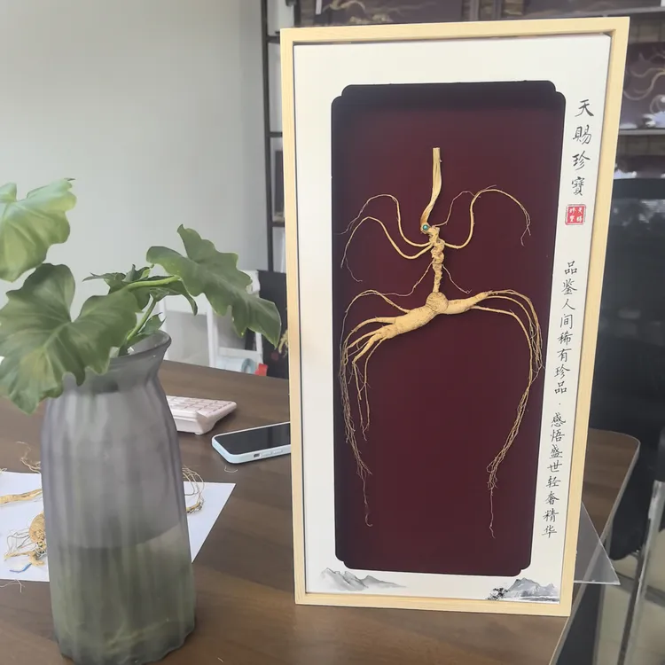 长白山高品质林下参放山货礼盒可泡酒煲汤适合送礼