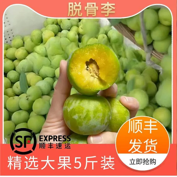 【顺丰包邮】贵州正宗青脆李脱骨李子新鲜现摘现发酸甜孕妇水果商品图