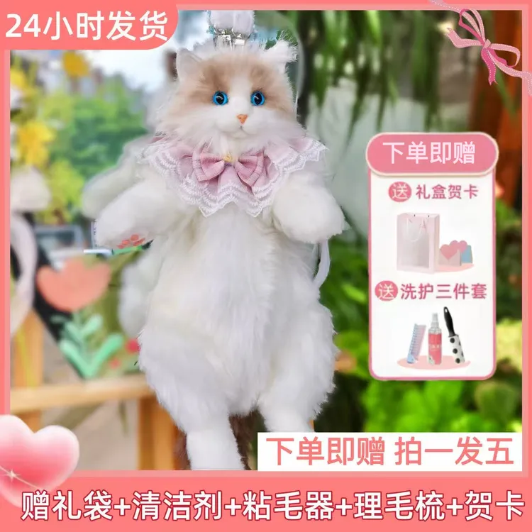 仿真布偶猫背包娃娃玩偶公仔可爱猫咪毛绒玩具儿童节生日礼物女生