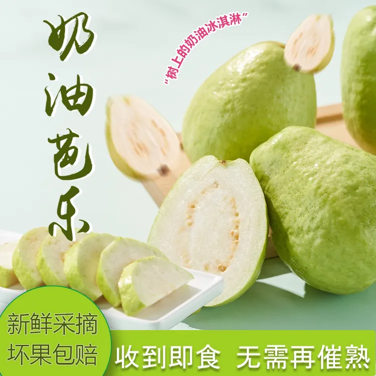 【顺丰包邮】树熟白心奶油芭乐石榴香气浓郁口感软糯香甜产地直发