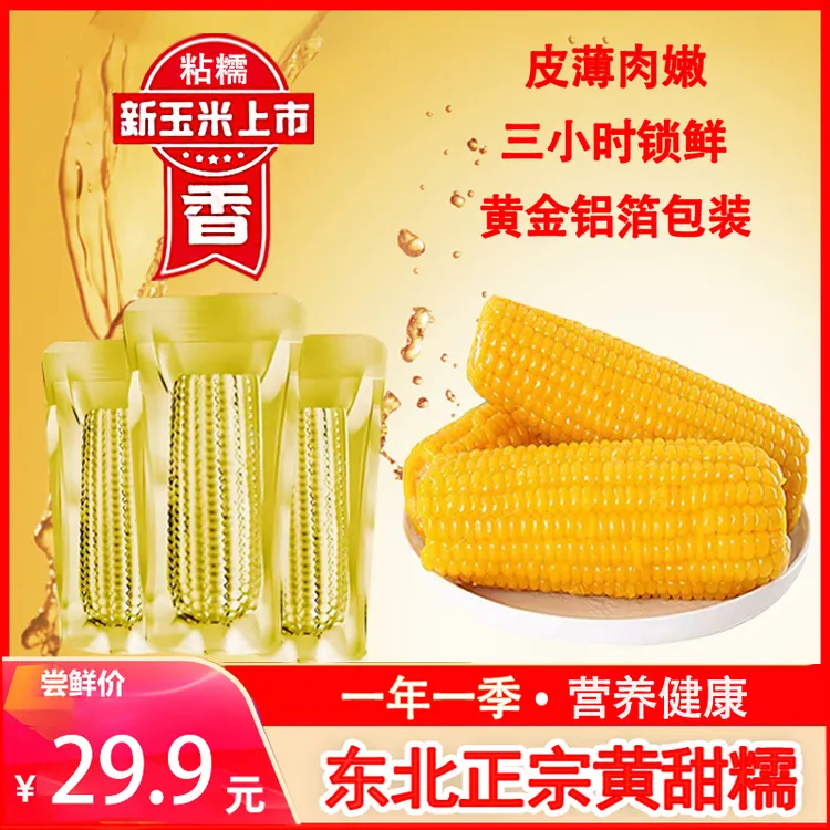 【试吃3根】10支东北甜糯玉米真空锁鲜低脂代餐单支250-300克