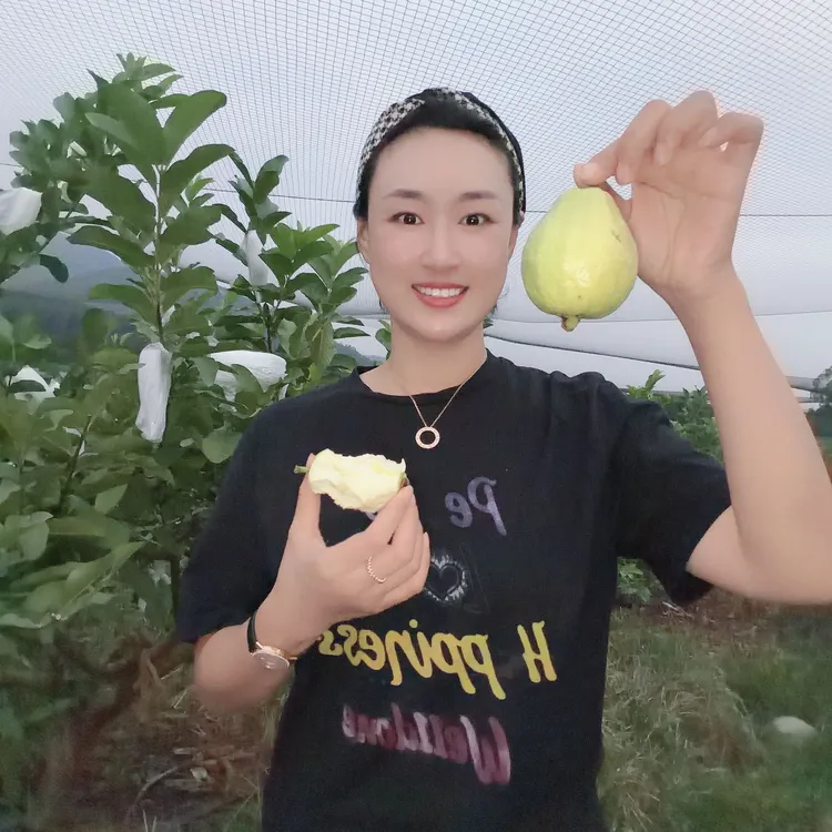 进阶版帝王奶油芭乐绿色微软就能吃入口丝滑绵密浓香清甜台湾品种