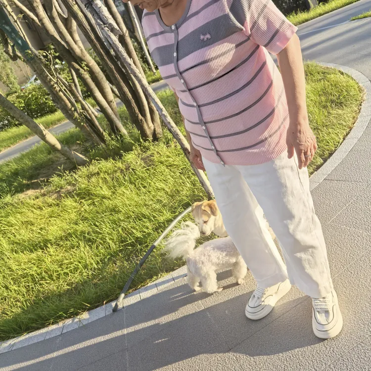 夏季针织短袖拼色刺绣女毛针织衫薄款针织衫编织百搭时尚休闲条纹