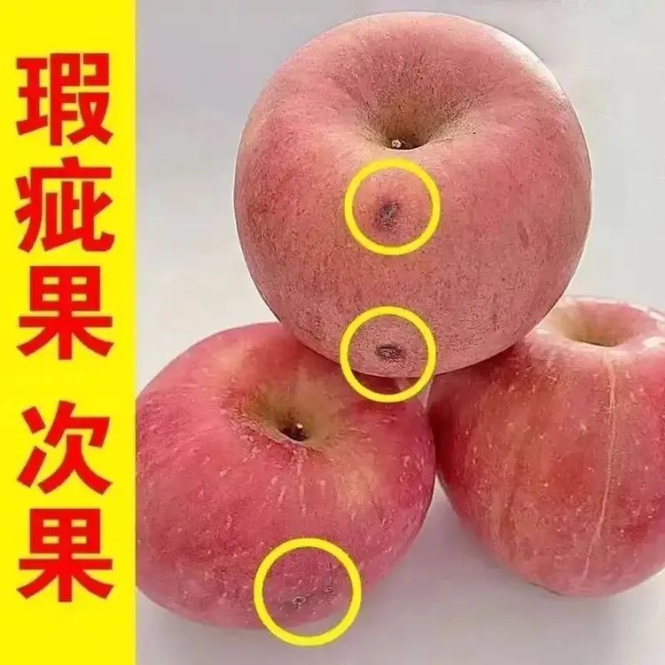 正宗山区奶油苹果脆甜多汁黄金富士4.5斤带锈果金斑带秀