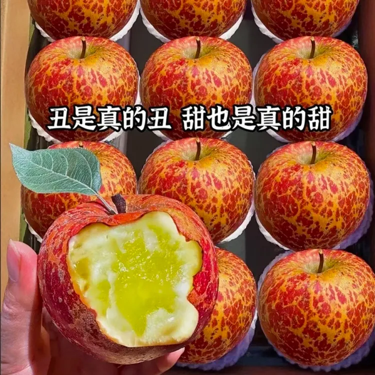 当季云南昭通丑苹果冰糖心新鲜水果红富士现摘现发脆苹果产地直发