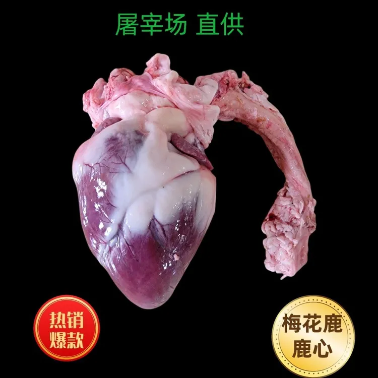 梅花鹿心正宗整只新鲜可用于炖汤红烧卤菜营养生鲜梅花鹿肉