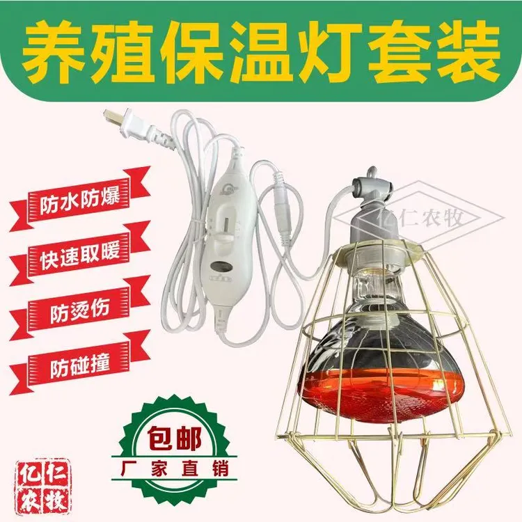 养殖取暖保温灯金属灯罩畜牧兽用小鸡仔猪兽用保温灯泡保暖灯防爆