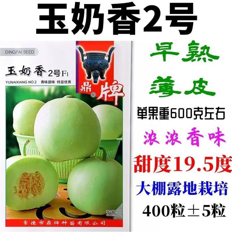 正宗鼎牌玉奶香2号甜瓜种子高产春秋特早熟爆甜香瓜薄皮绿皮绿肉