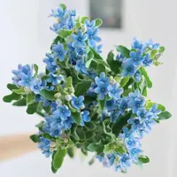 【蓝星花】|全场任意两单鲜花升级顺丰快递