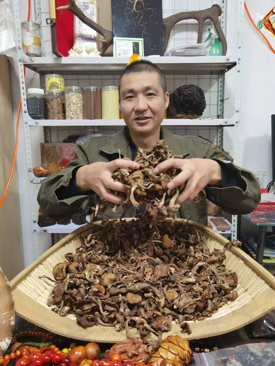 野生榛蘑(半斤)包邮