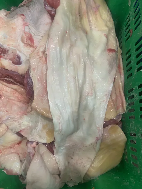 每日鲜出牛肉筋头巴脑牛腩牛腩肉宫后二号筋烧烤专用新鲜生鲜牛筋