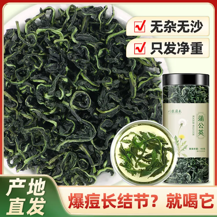 【产地直发】蒲公英茶叶根正品四川高原天然婆婆丁干货茶叶泡水桑叶