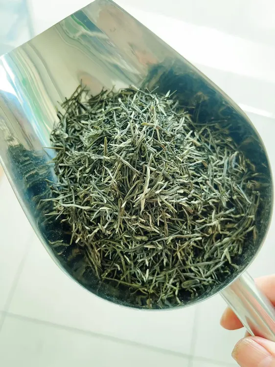 绿茶2025年明前高山绿茶新鲜毛尖新茶鲜爽嫩芽纯手工茶叶兰花香