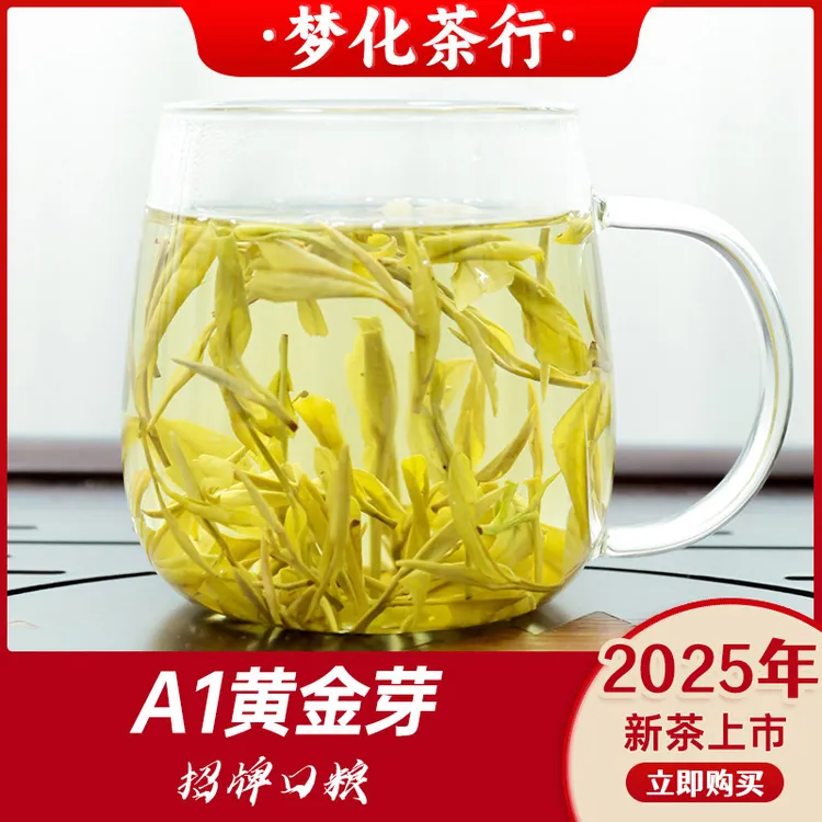 2025新茶安吉黄金芽浓香耐泡豆香板栗香型春茶正宗原产地直销绿茶
