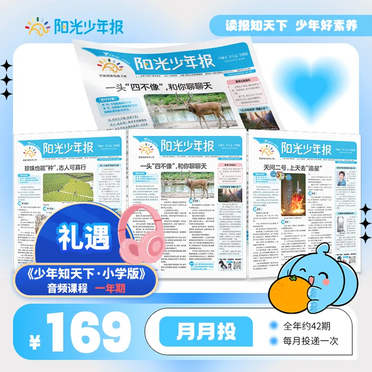 【新闻】阳光少年报小学版报纸初中版大少年全年订阅 跨年订阅