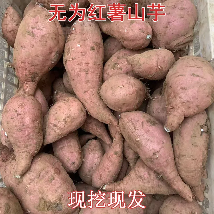 安徽芜湖无为襄安特产白心红薯老品种山芋番薯1500克起发包邮