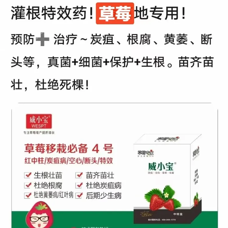 红中柱黄萎根腐炭疽角斑空心保护等叶面肥助力生长一套管两亩地