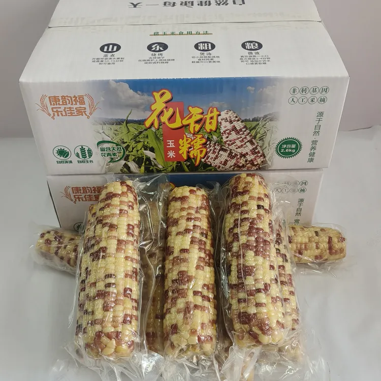 【2025山东新玉米】花蜜糯玉米甜糯可口清甜香糯代餐佳品