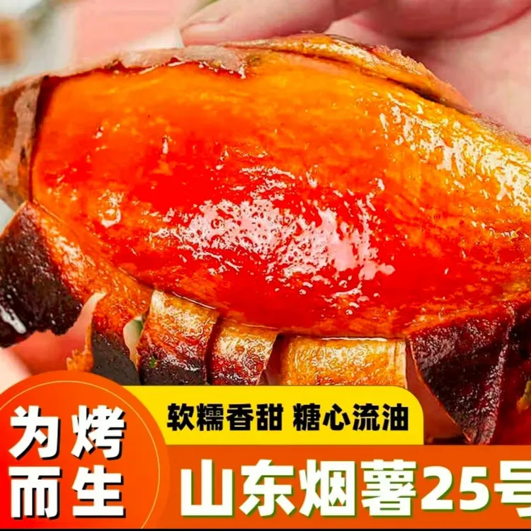 山东烟薯25号流油流密流糖心净重5斤蒸煮烤红薯地瓜2025新鲜现挖