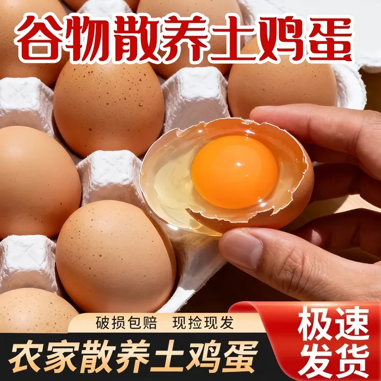 【可以生吃】果园散养土鸡蛋蛋香浓郁谷物喂养月子蛋宝宝辅食鸡蛋