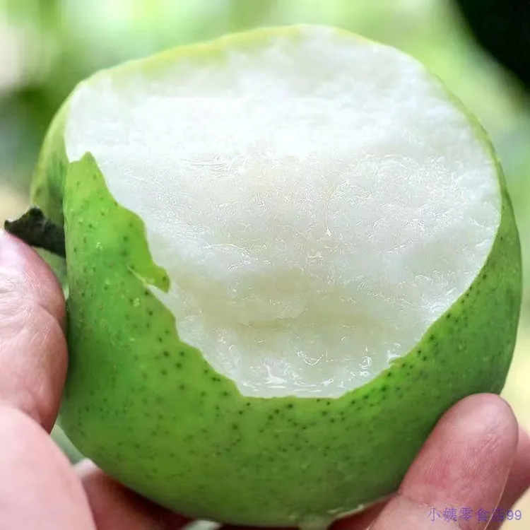 【顺丰包邮】头茬苹果梨新鲜水果青梨子现摘清脆梨当季水果现摘现发