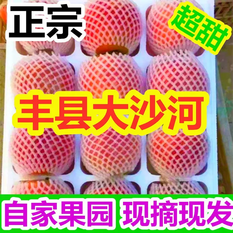 正宗徐州丰县大沙河红富士整苹果丑苹果脆甜多汁整箱包邮