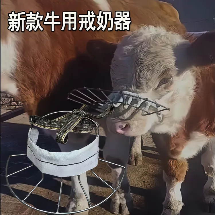 新款牛犊子牛犊断奶器小牛焊接犊牛戒奶简易一体圆形家用牛犊戒奶